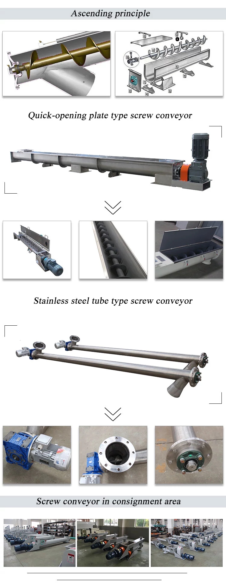 Vertical screw conveyor structure diagram Eversun,Sieving machine